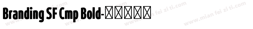 Branding SF Cmp Bold字体转换
